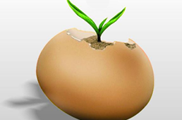 中國煎餅在美國一個(gè)賣15美元，下一個(gè)走出國門的會(huì)是哪個(gè)？