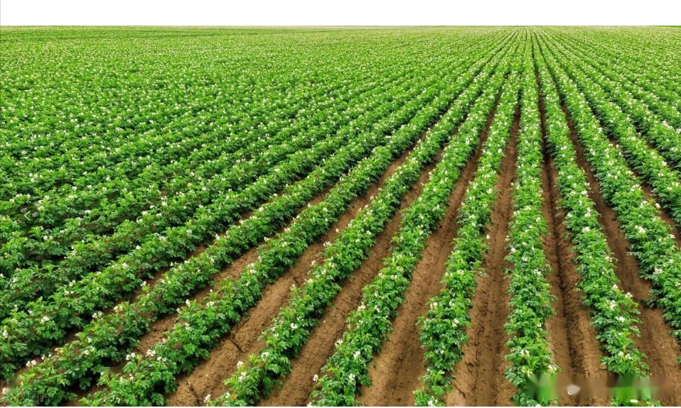 1713926420369029.png 1713926420369029.png