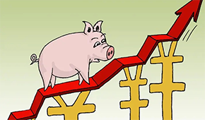 牧原、溫氏、新希望…業(yè)績大漲，扭虧為盈，豬企龍頭集體走出“至暗時刻”？