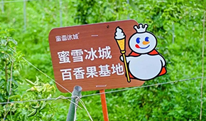 今日上市！覆蓋全球六大洲38個國家，“雪王”的采購網到底有多牛？