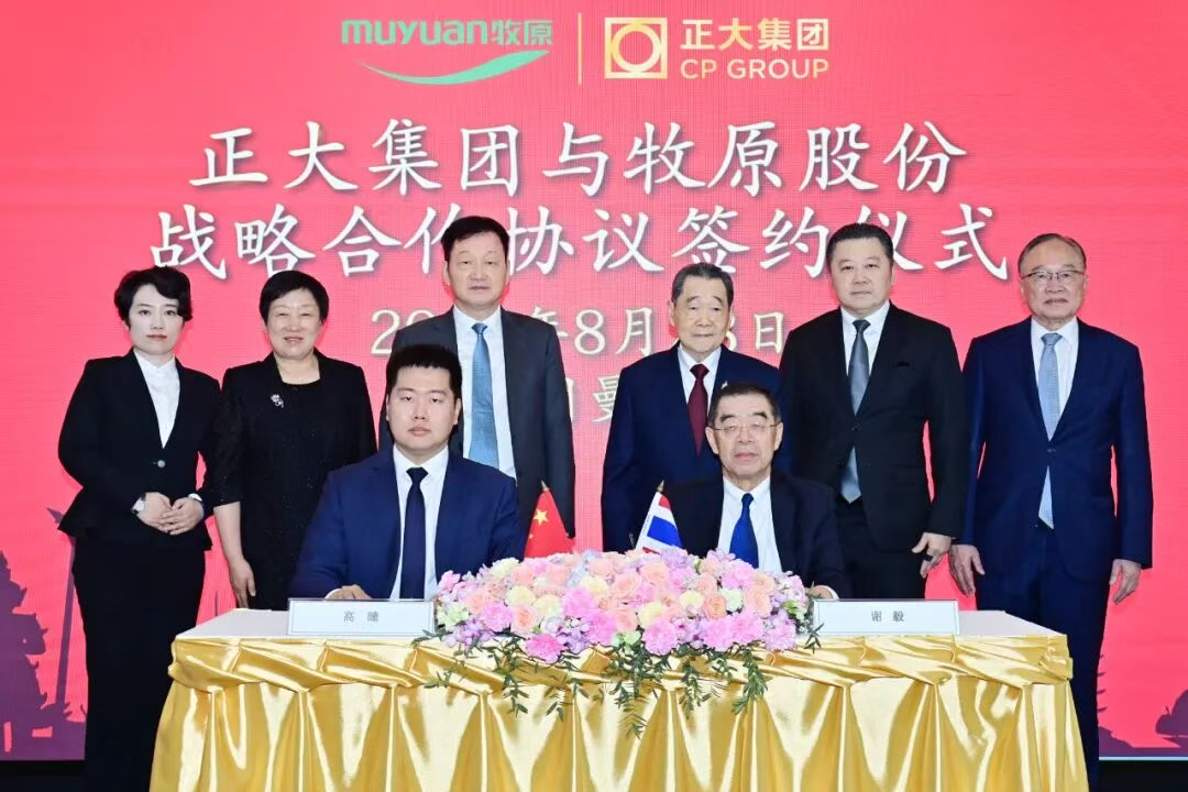 1764120230597809.png 1764120230597809.png