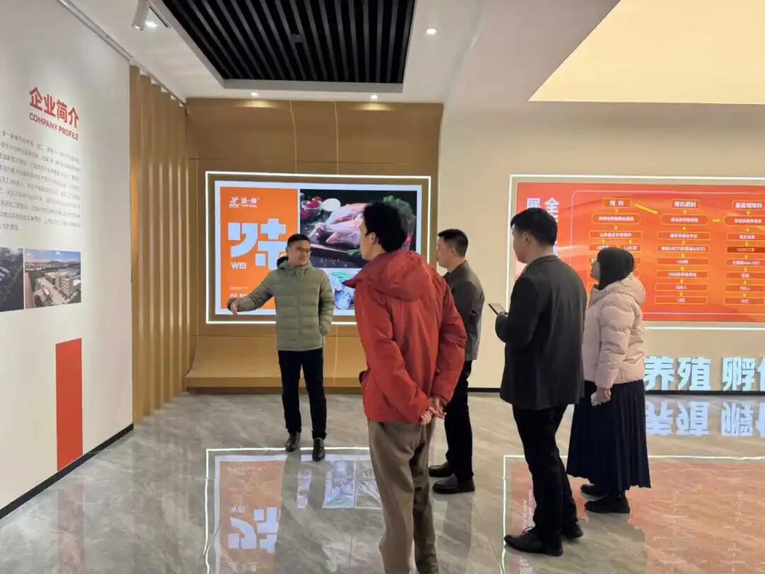 1766369427558363.jpg 1766369427558363.jpg